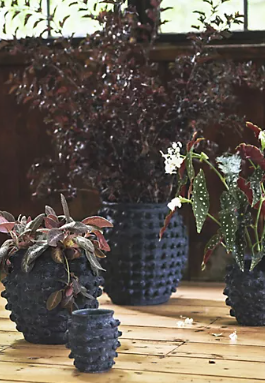 Minka Textured Pot