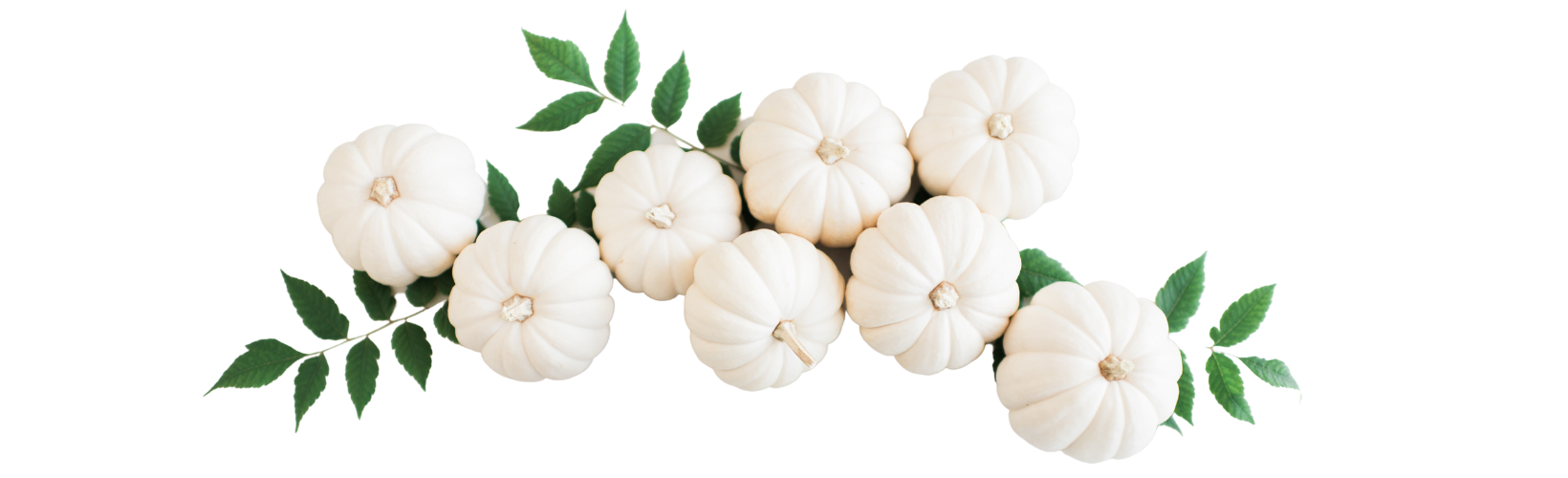 white pumpkin decor with green leaves